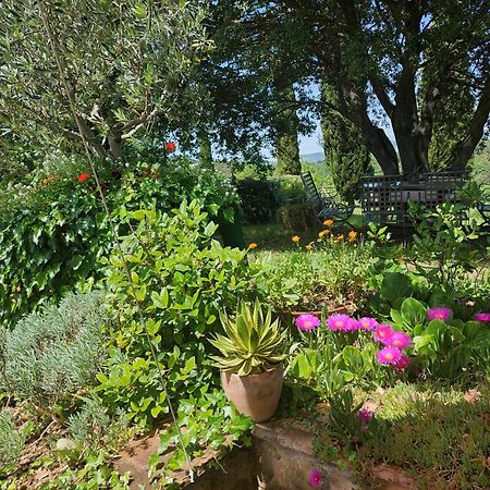 Podere Cerreto Casole dʼElsa Εξωτερικό φωτογραφία