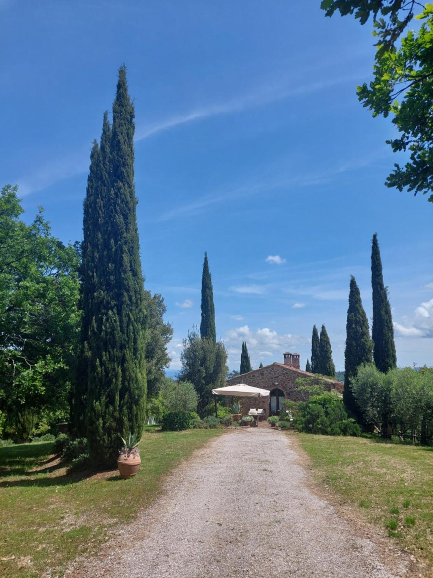 Podere Cerreto Casole dʼElsa Εξωτερικό φωτογραφία