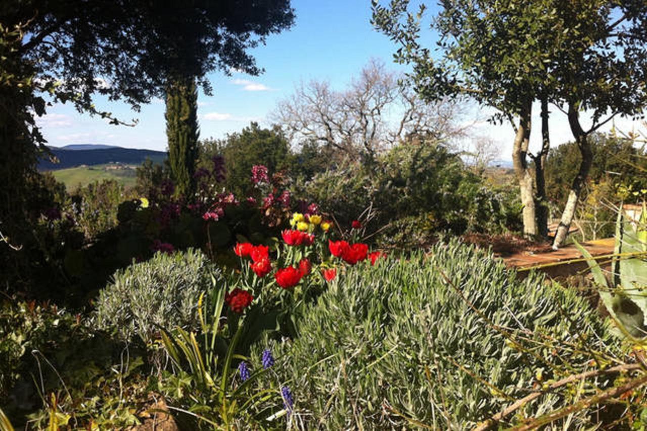 Podere Cerreto Casole dʼElsa Εξωτερικό φωτογραφία