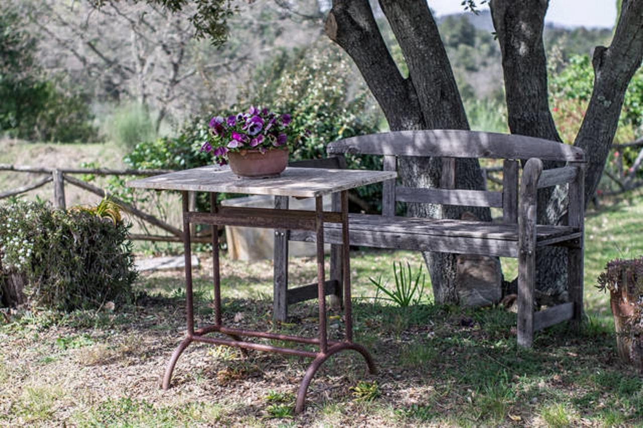 Podere Cerreto Casole dʼElsa Εξωτερικό φωτογραφία