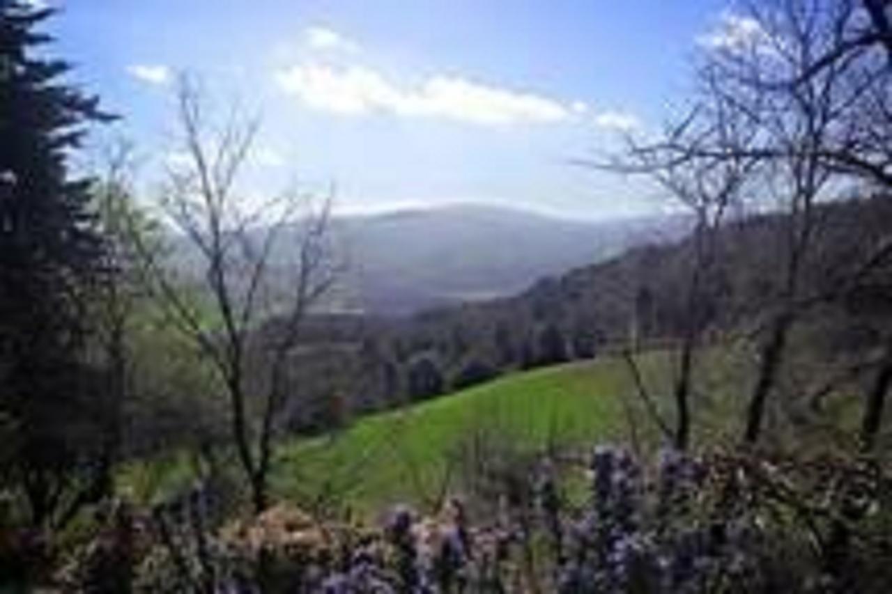 Podere Cerreto Casole dʼElsa Εξωτερικό φωτογραφία